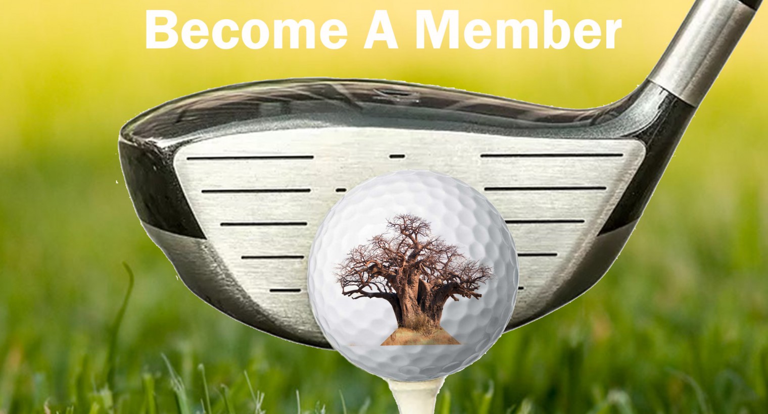 Become a member