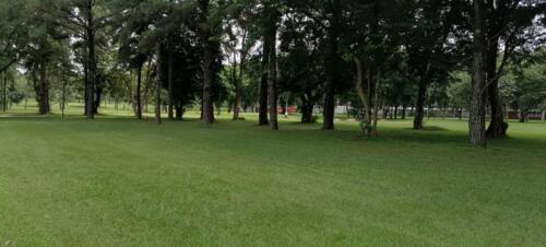 WhatsApp Image 2023-03-29 at 12.14.52 (3)